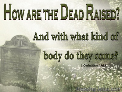 1 Corinthians 15:35 How Are The Dead Raised (green)